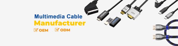 Extension cable