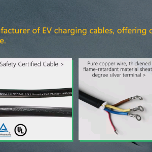 Custom EU Extender EV Charging Cable